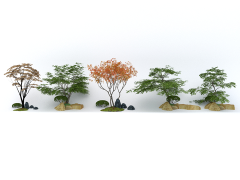  行道树 景观树 紫薇树 朴树su模型 