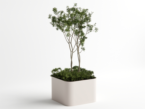  现代树池su模型 