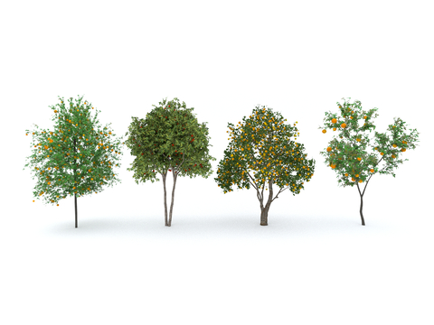  现代庭院树 果树 行道树 柠檬树 橘子树 苹果树 梨树su模型 