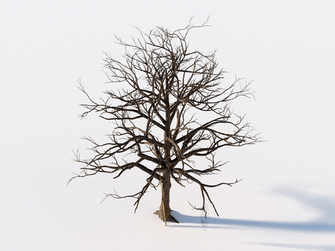  枯树 枯木su模型 