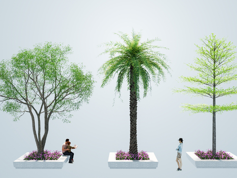  景观树 棕榈 海藻 乌桕 小叶榄仁su模型 