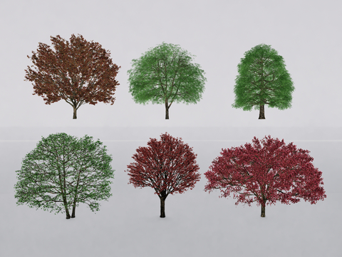  行道树 景观树 落叶乔木su模型 