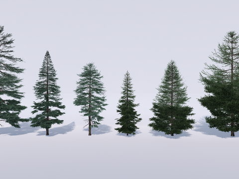  现代行道树 景观树 雪松树 柏树su模型 