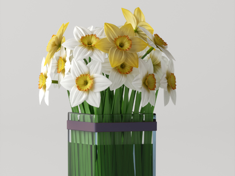  水生植物 水培绿植su模型 