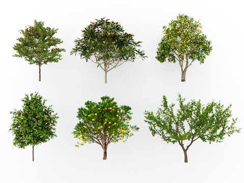  景观树 庭院树 果树 苹果树 橘子树su模型 