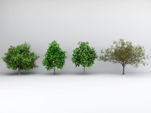  景观树 庭院树 果树 石榴树su模型 