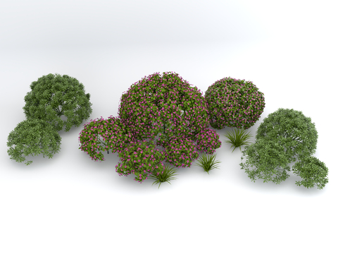  造型灌木 灌木球 修剪灌木su模型 