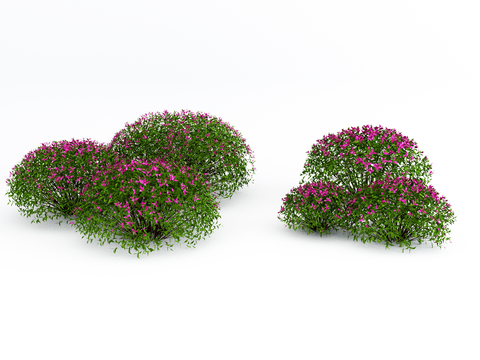  灌木球 修剪灌木 红叶石楠su模型 