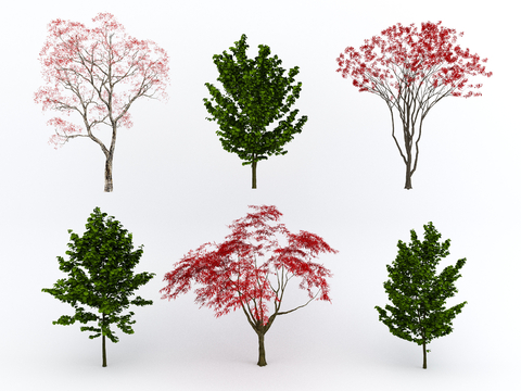  景观树 红叶树 红枫 青枫 鸡爪槭su模型 