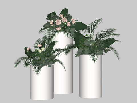  花草 植物 鲜花 绿植su模型 