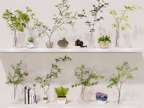  水生植物 水培绿植su模型 