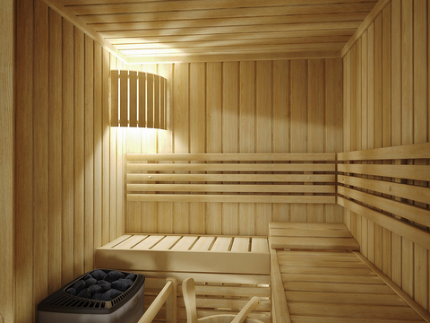  现代桑拿房 汗蒸馆su模型 