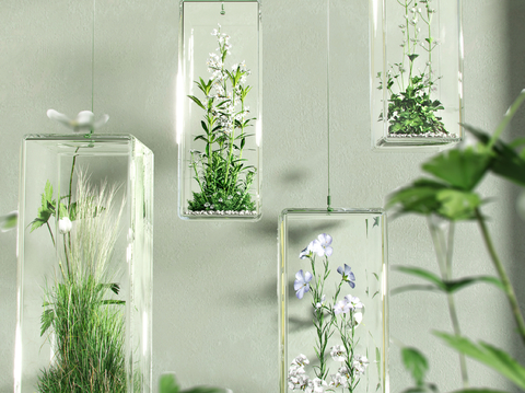  悬挂绿植 花草 植物su模型 