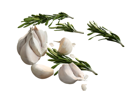  蔬菜 大蒜 蒜头su模型 