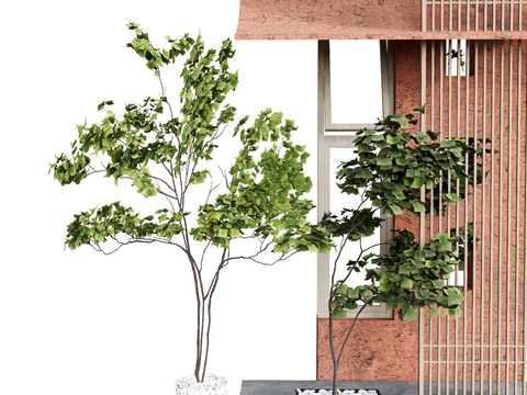  植物 树木绿植su模型 