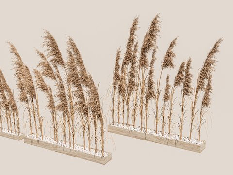  小麦 干支 花池su模型 