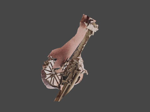  中世纪大炮su模型 