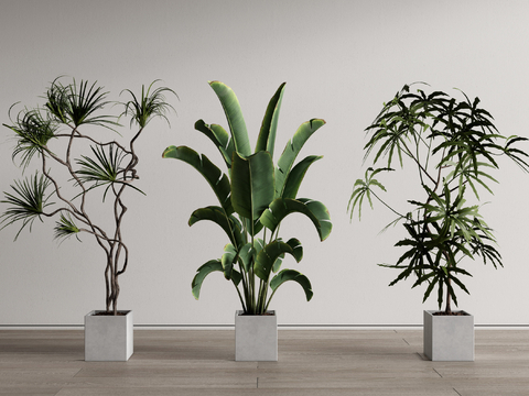 绿植盆栽 落地植物su模型