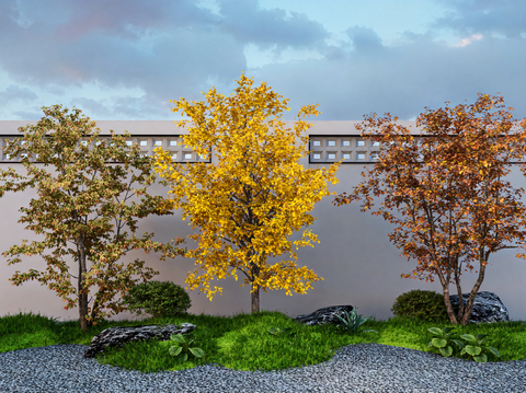  乔木 景观树 庭院大树su模型 