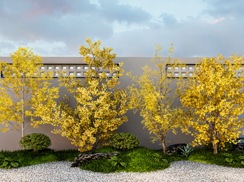  朴树 乔木 庭院树 园林树 造型树su模型 