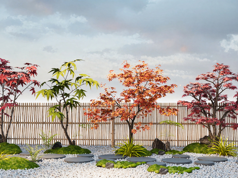  枫叶树 景观树 庭院树 大树su模型 