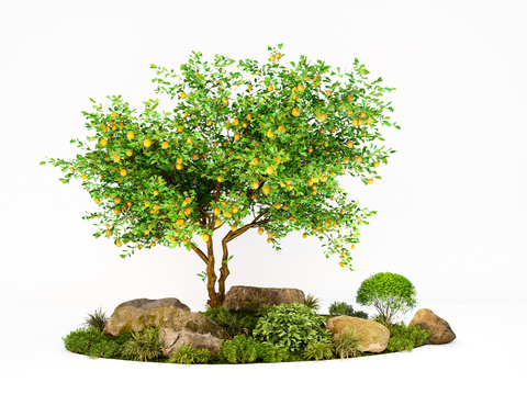  景观树 果树 树木 大树su模型 