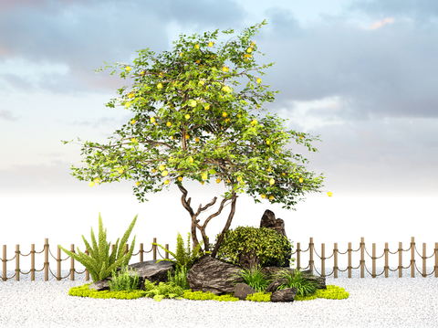  现代庭院景观石头 柠檬树 橘子树冬su模型 