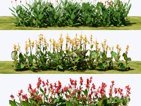  现代植物丛 绿植灌木 鸢尾花 绿篱花卉su模型 