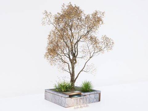  现代秋季黄果朴树 乔木  树池su模型 