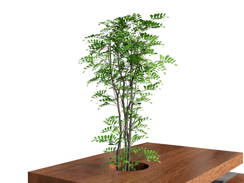  植物树绿植树枝su模型 