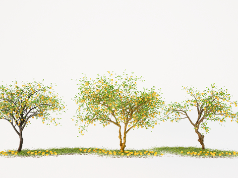  柠檬树 橘子树 庭院树 果树su模型 