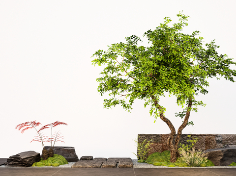  景观造型树 庭院树su模型 