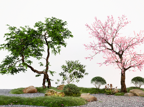  现代庭院景观树 桃树 造型树 微地形su模型 