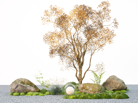  秋季树 黄果朴树 庭院树su模型 