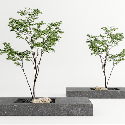  现代景观树su模型 