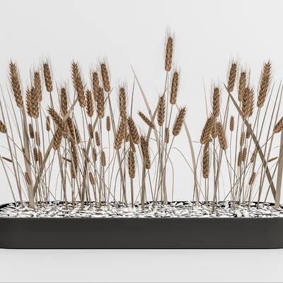 现代麦穗摆件su模型