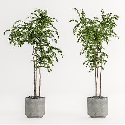 现代绿植盆栽su模型