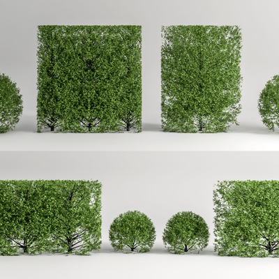  绿篱 绿化带 灌木球su模型 