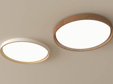 现代吸顶灯 卧室吸顶灯su模型