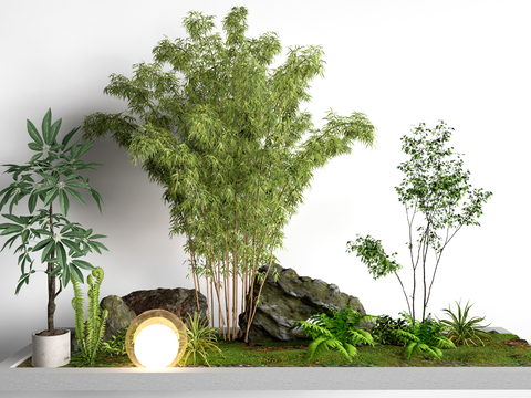 现代景观植物 植物造景 庭院植物 盆栽植物su模型