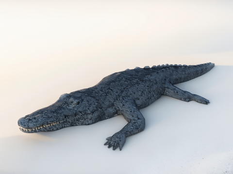  鳄鱼雕塑su模型 