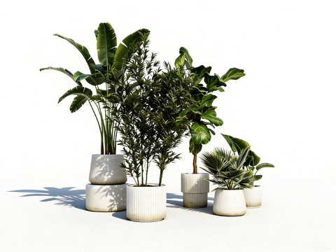 简约现代竖条纹装饰白色 陶瓷花盆 盆栽容器 琴叶榕 天堂鸟su模型
