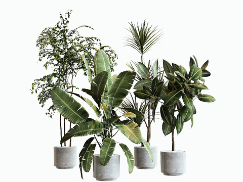 现代绿植盆栽su模型