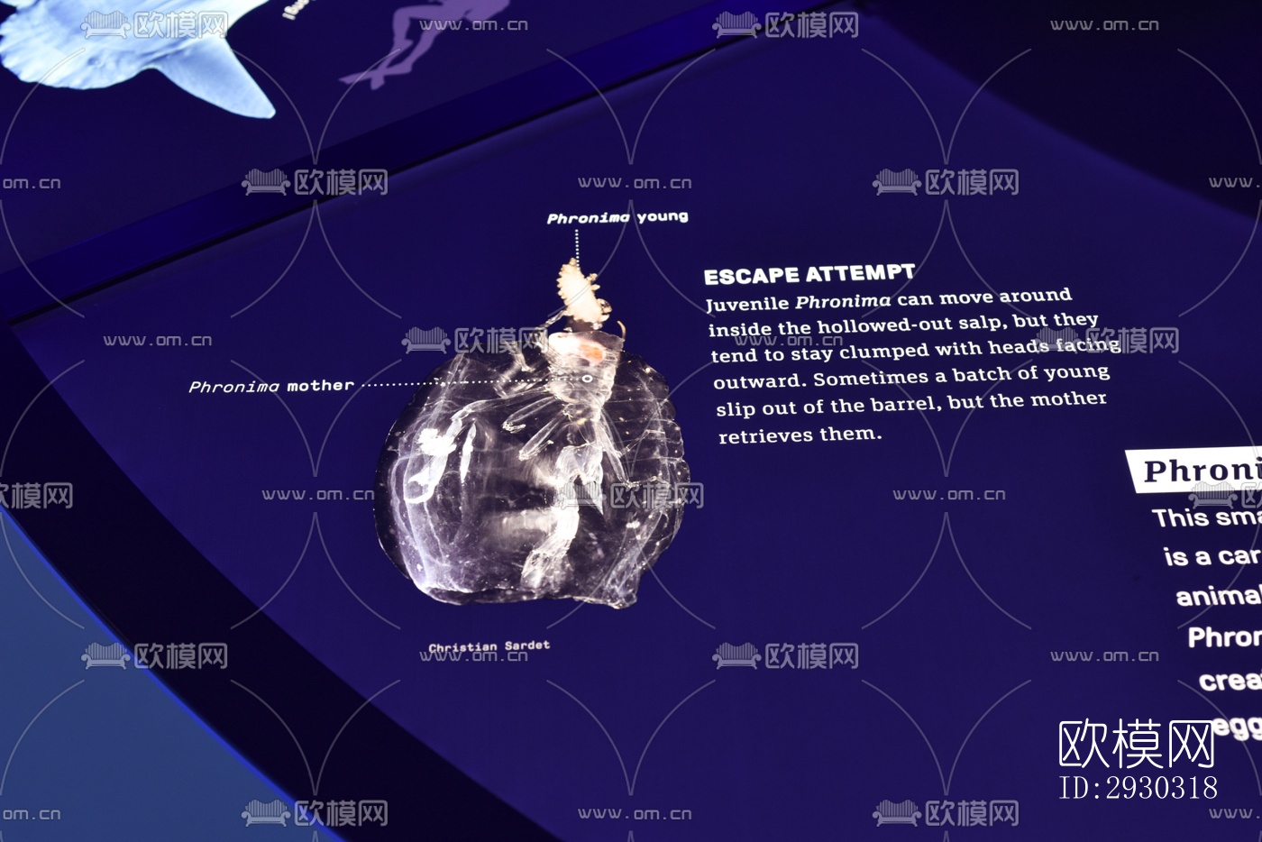 现代展览展厅效果图下载（渲染图1）