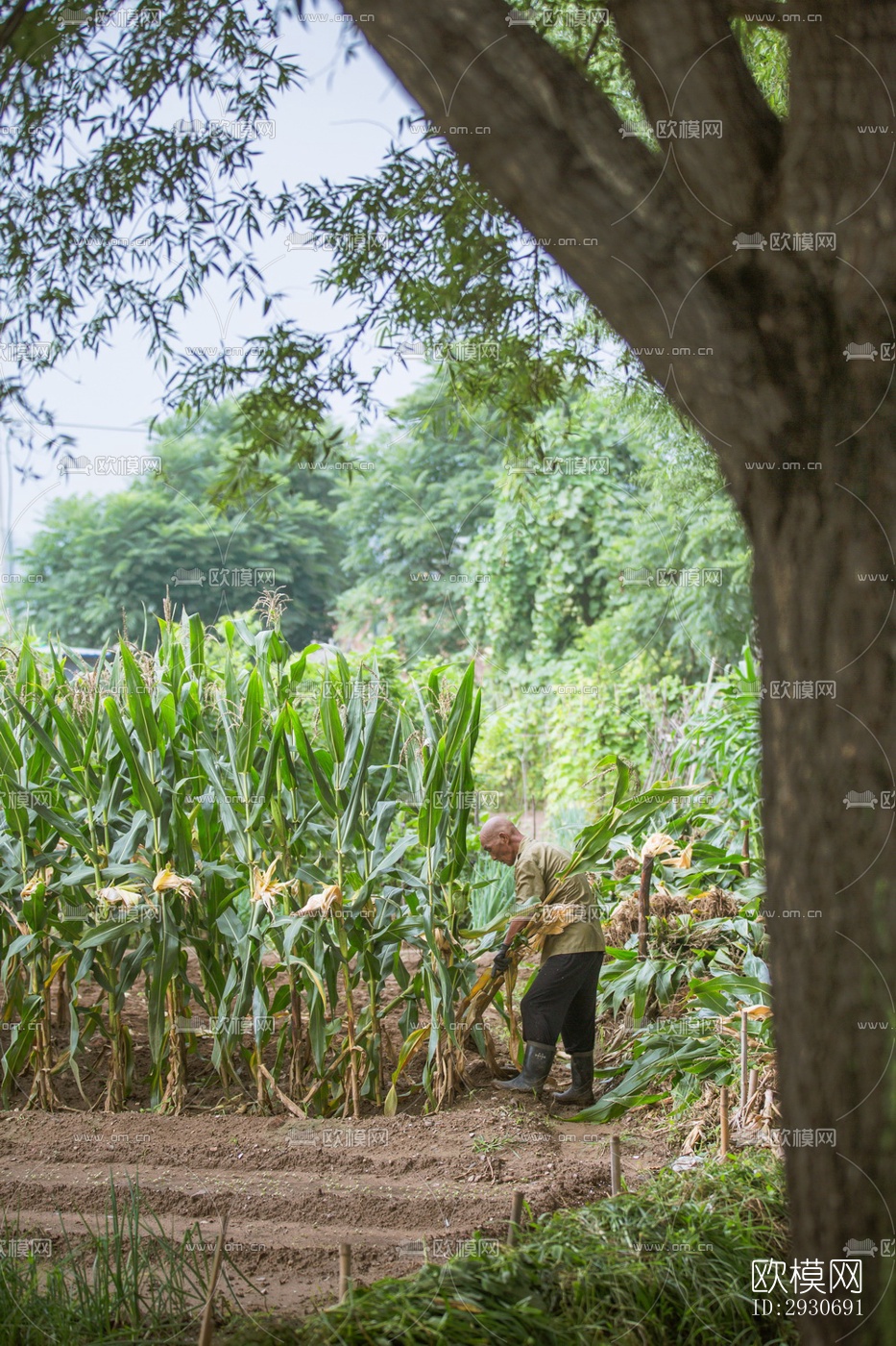 现代酒店民宿效果图下载（渲染图13）