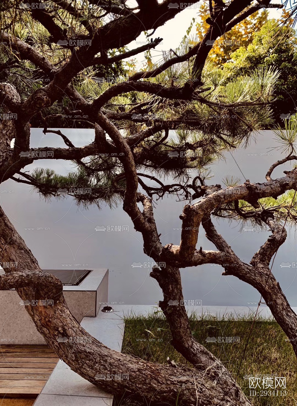 现代别墅效果图下载（渲染图14）