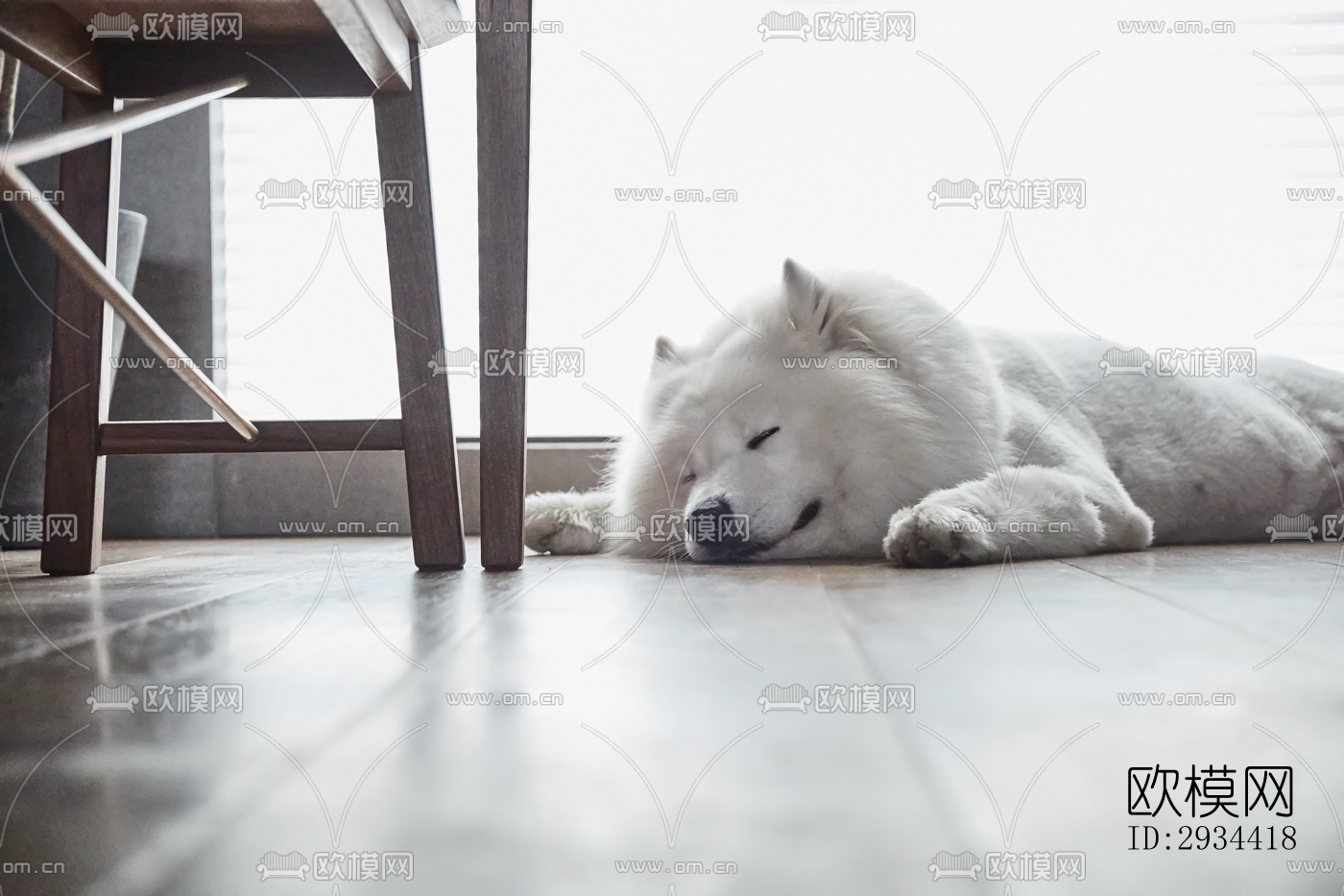 北欧平层效果图下载（渲染图14）