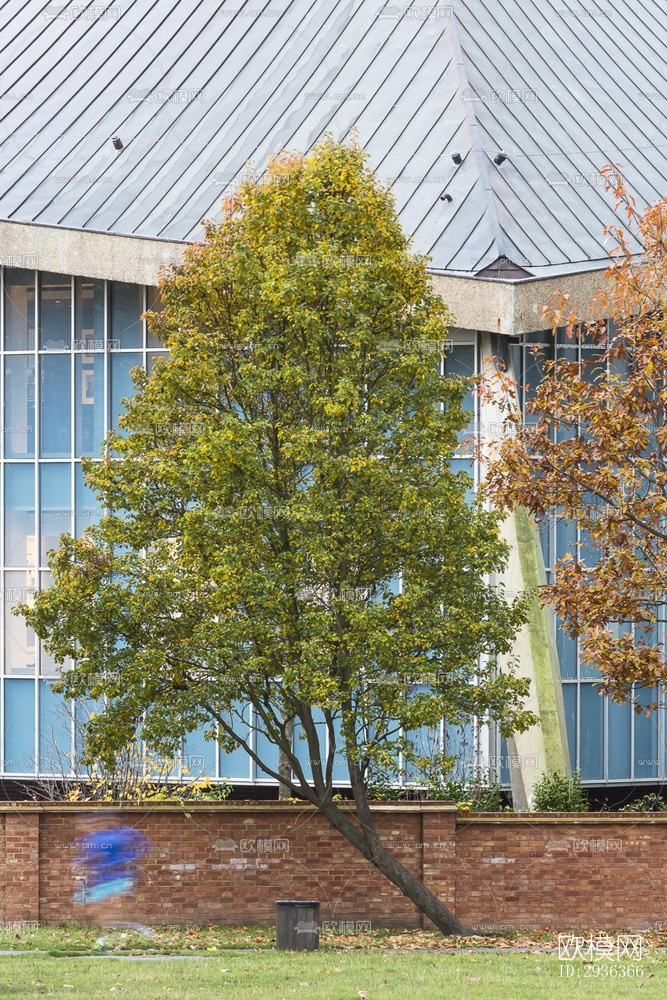 现代美术博物馆效果图下载（渲染图5）