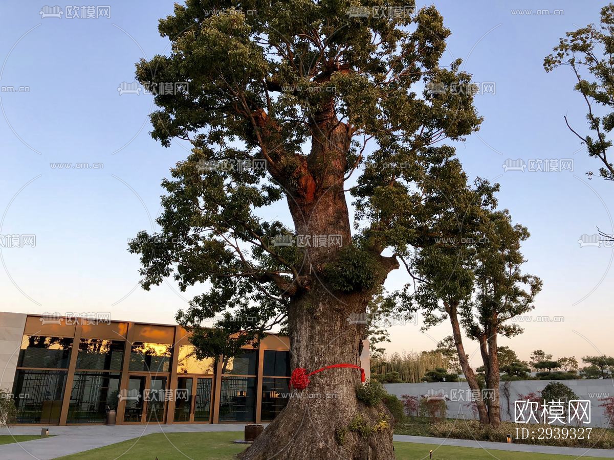 新中式酒店民宿效果图下载（渲染图20）