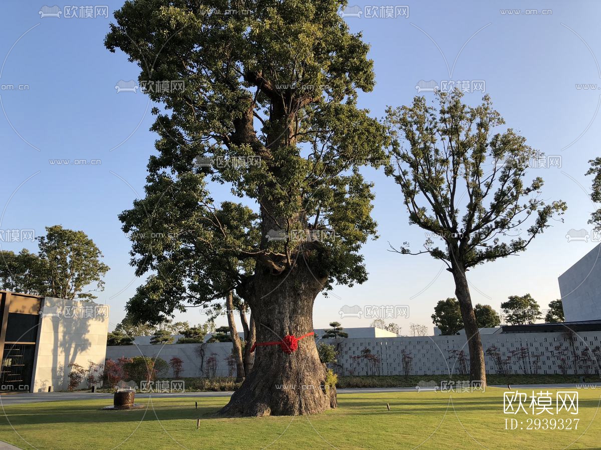 新中式酒店民宿效果图下载（渲染图11）